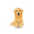 3D example: Pet. Digital render of the interactive model, not a photograph of a finished print.